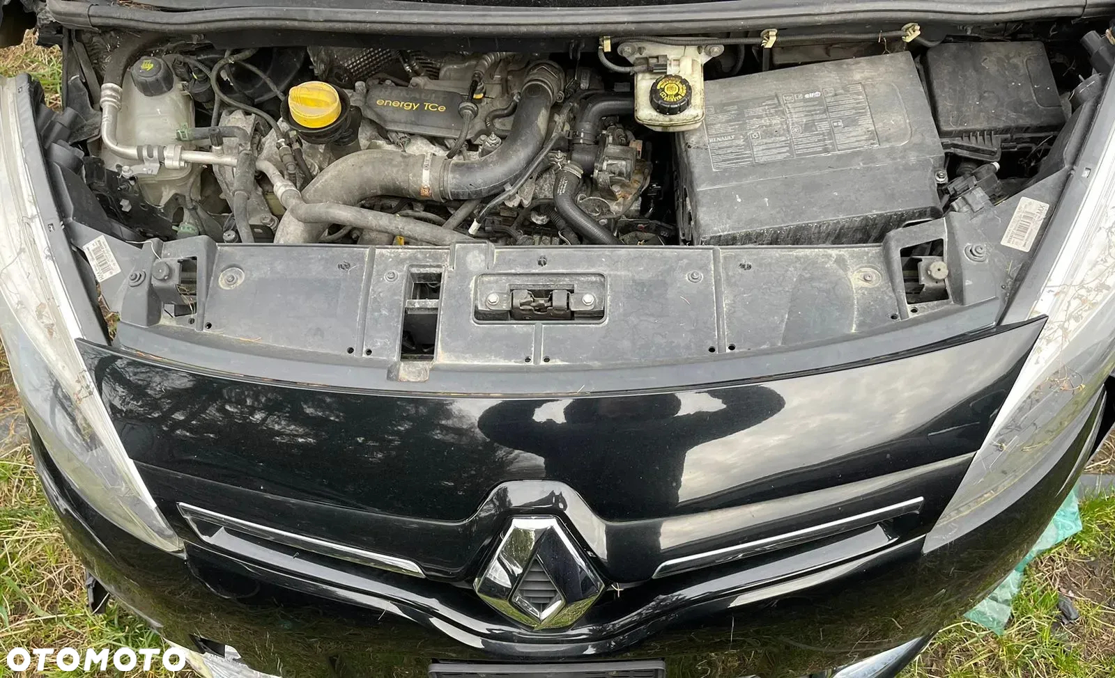 Renault Scenic - 5