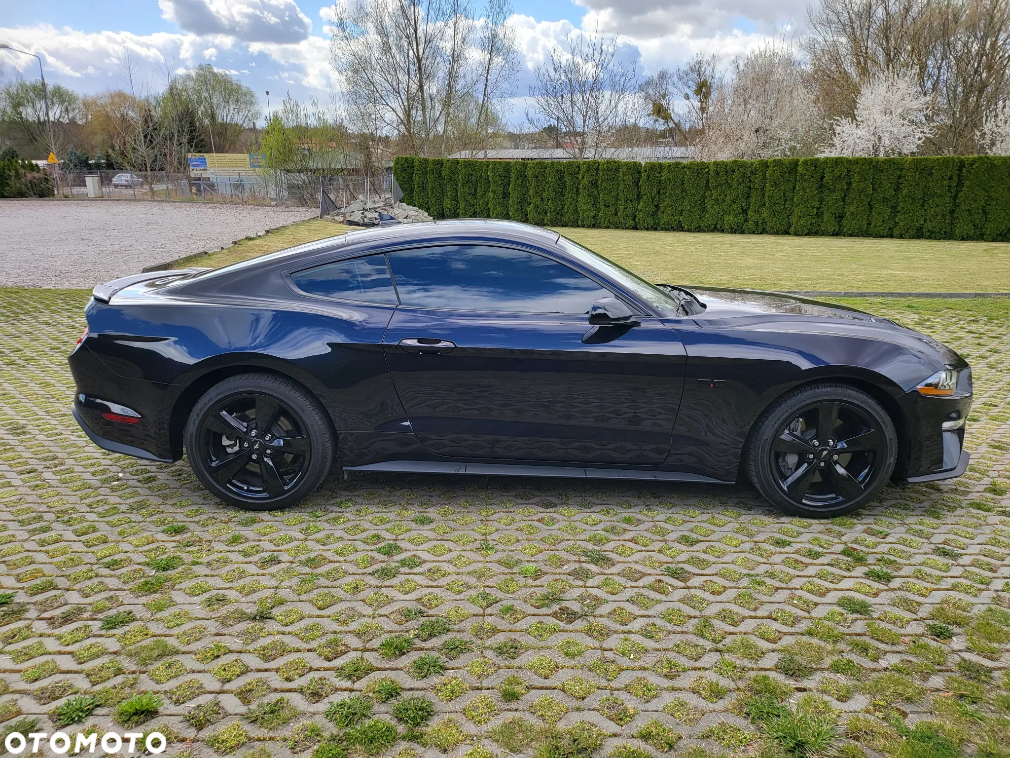 Ford Mustang 5.0 V8 GT - 6
