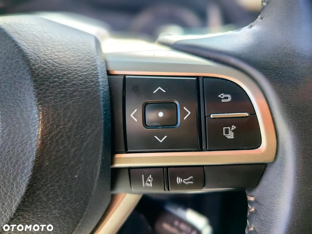 Lexus RX 450h (hybrid) Luxury Line - 29