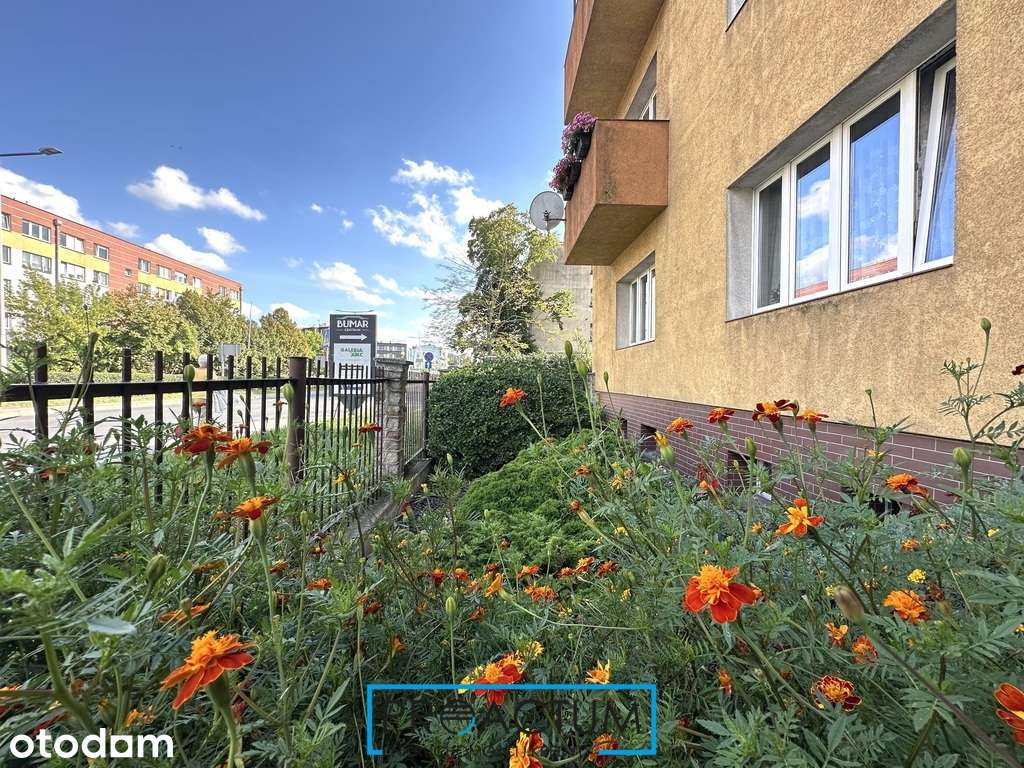 Mieszkanie w centrum Torunia - 55 m2 - 2 pokoje