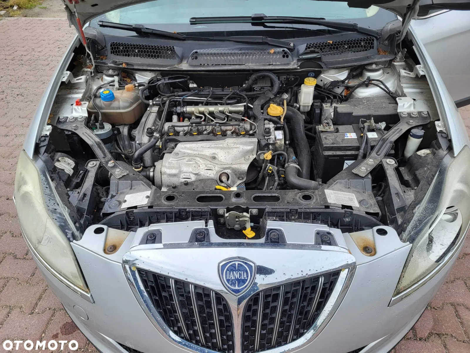 Lancia Delta 1.6 MJ Argento - 30