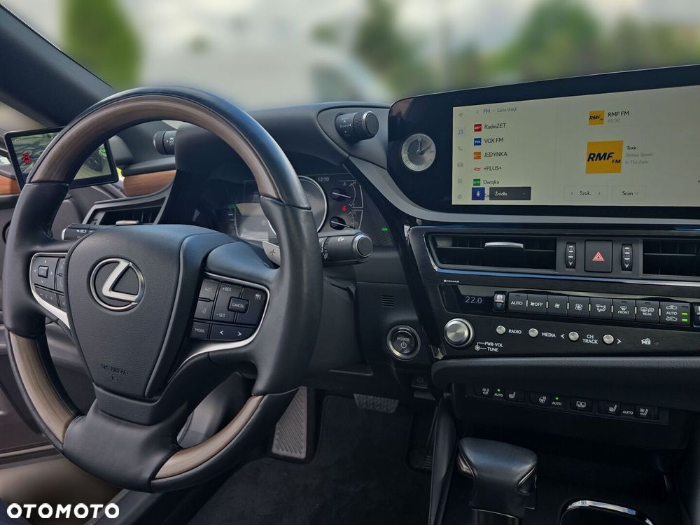 Lexus ES 300h Omotenashi - 19