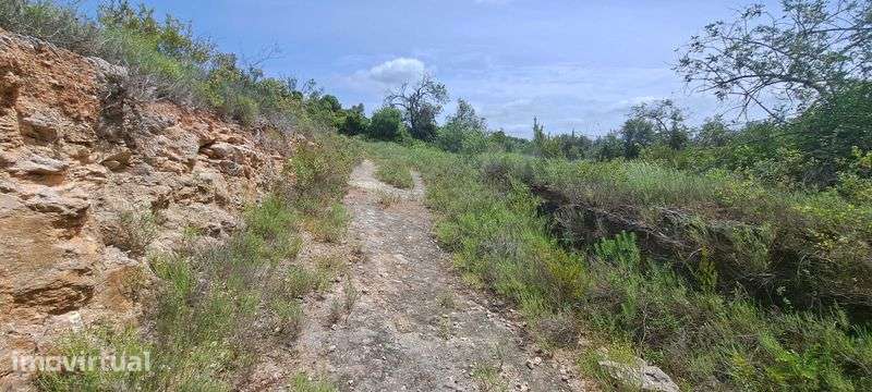 Terreno 3.160m2 em Boliqueime (Aroal) - Grande imagem: 5/12