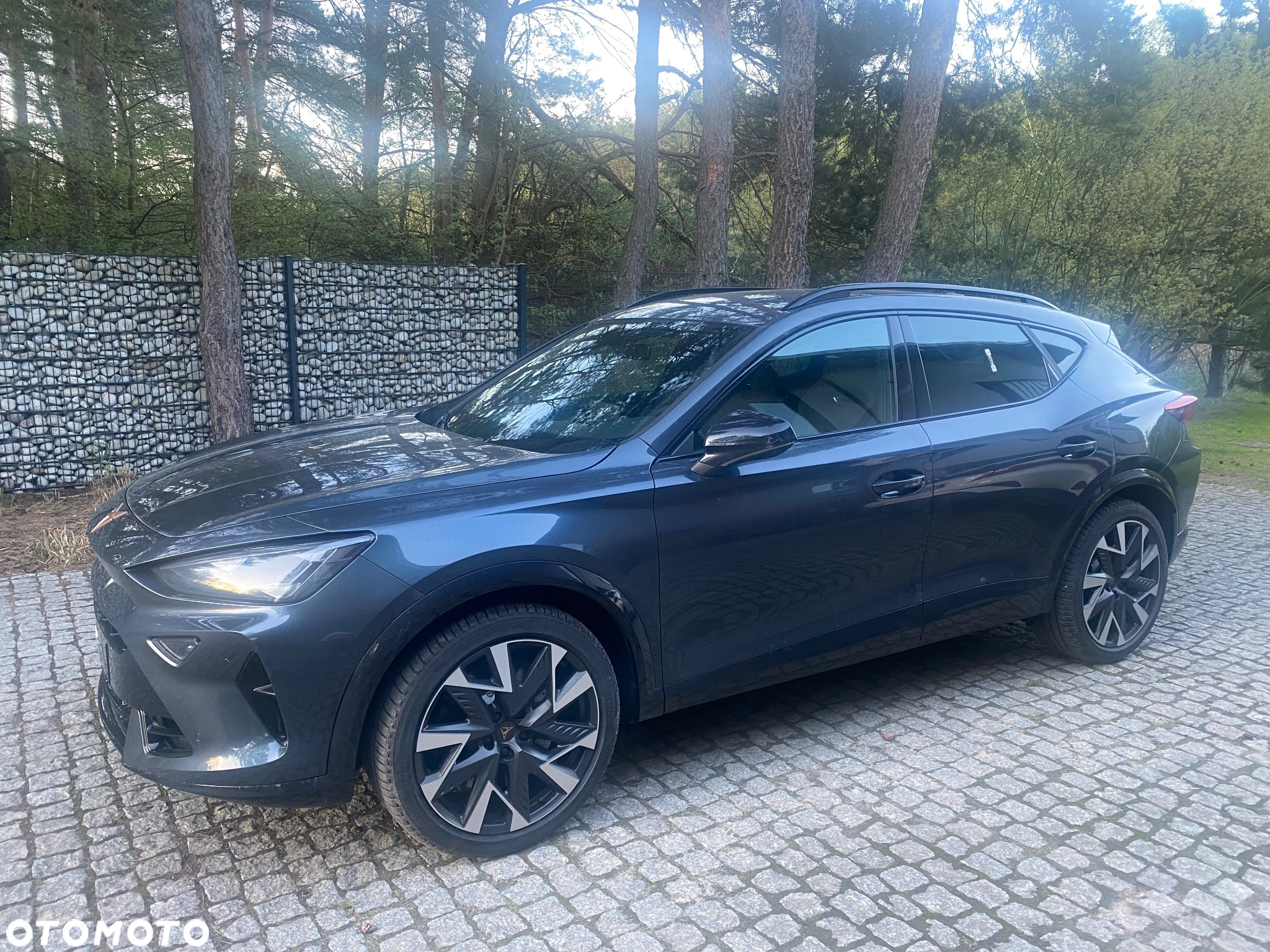 Cupra Formentor 2.0 TSI 4Drive VZ DSG - 7