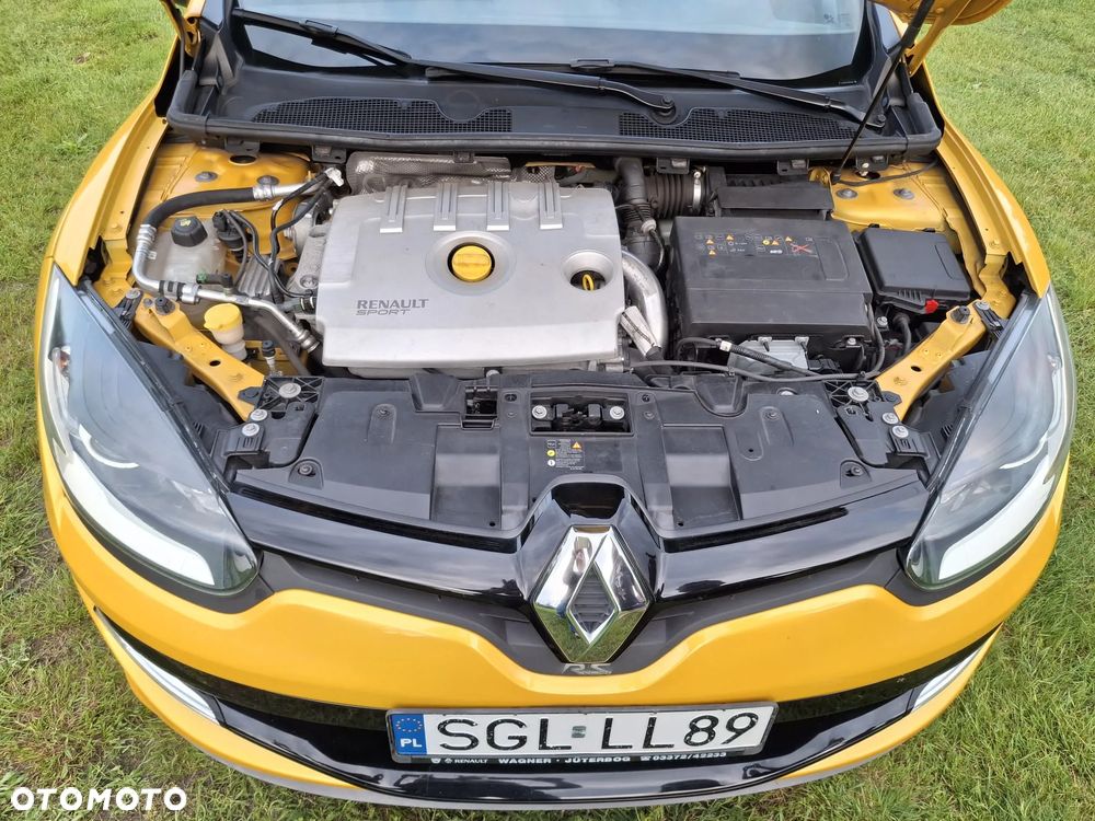 Renault Megane R.S EU6 - 10