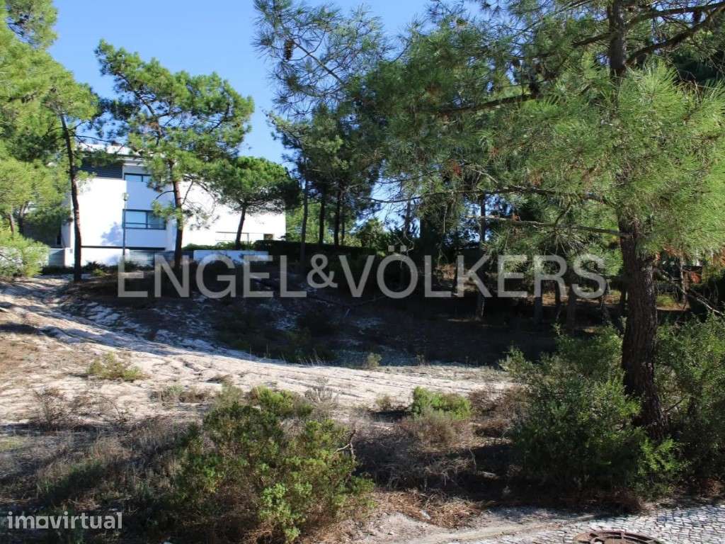 Terreno perto do Mar em Tróia - Grande imagem: 3/4