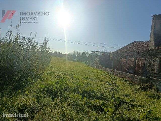 Terreno à venda em Santa Catarina-Vagos - Grande imagem: 3/4