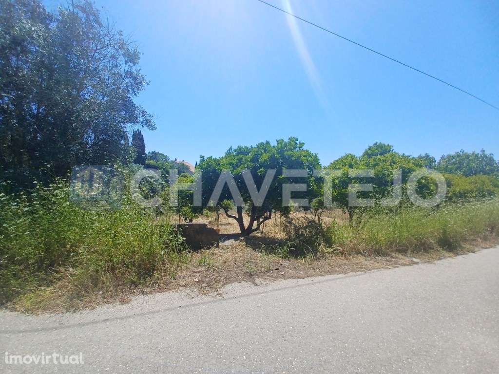 Terreno com 800 m2 perto da albufeira do Castelo do Bode. - Grande imagem: 3/7