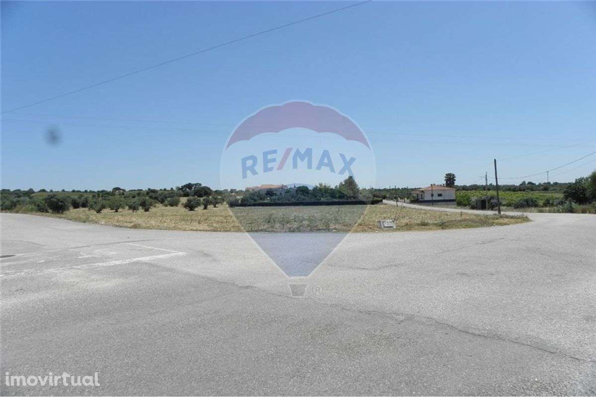 TERRENO PLANO COM DUAS FRENTES E ÁREA DE 16.360 M2 - Grande imagem: 4/20