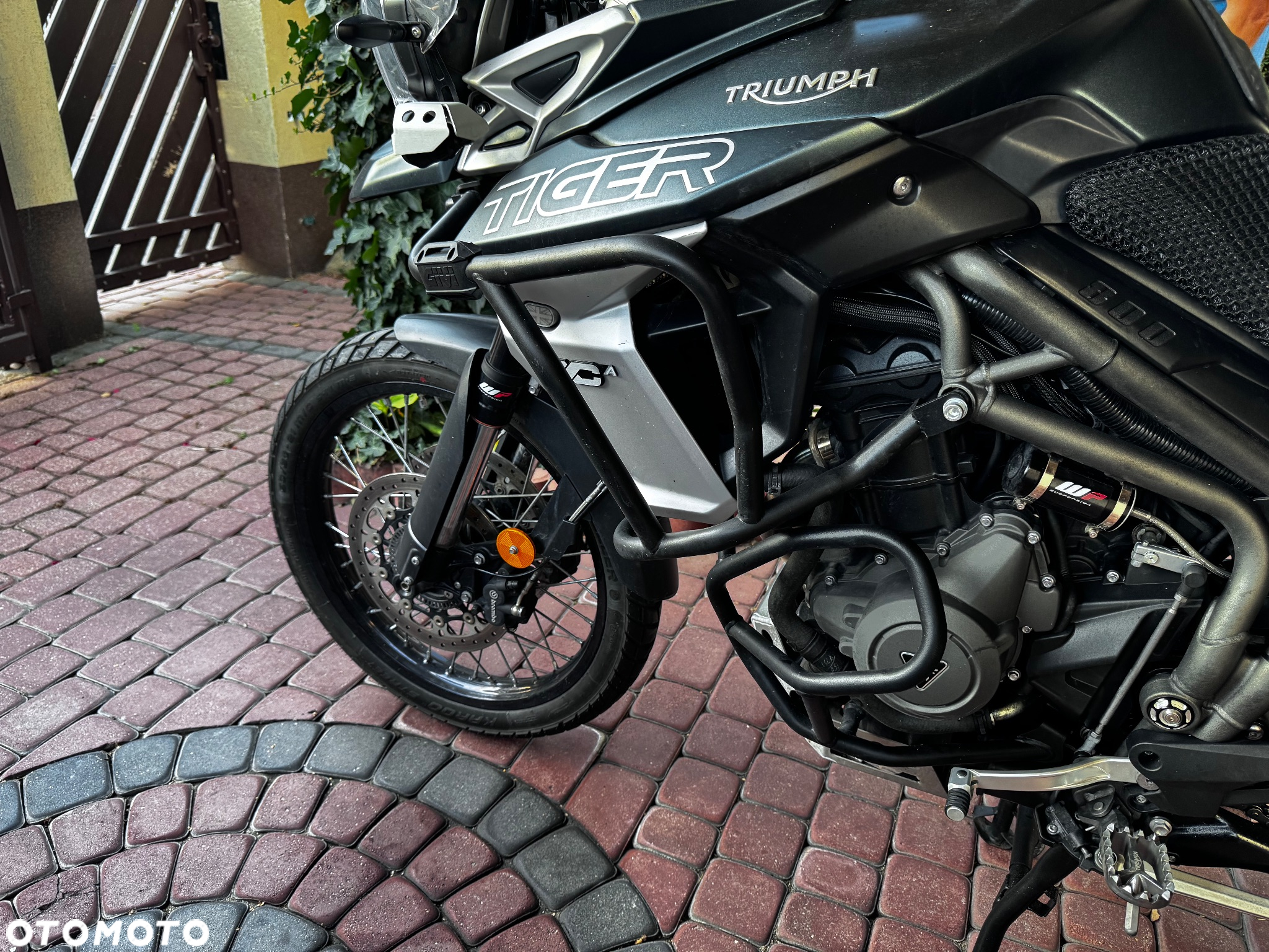Triumph Tiger - 6