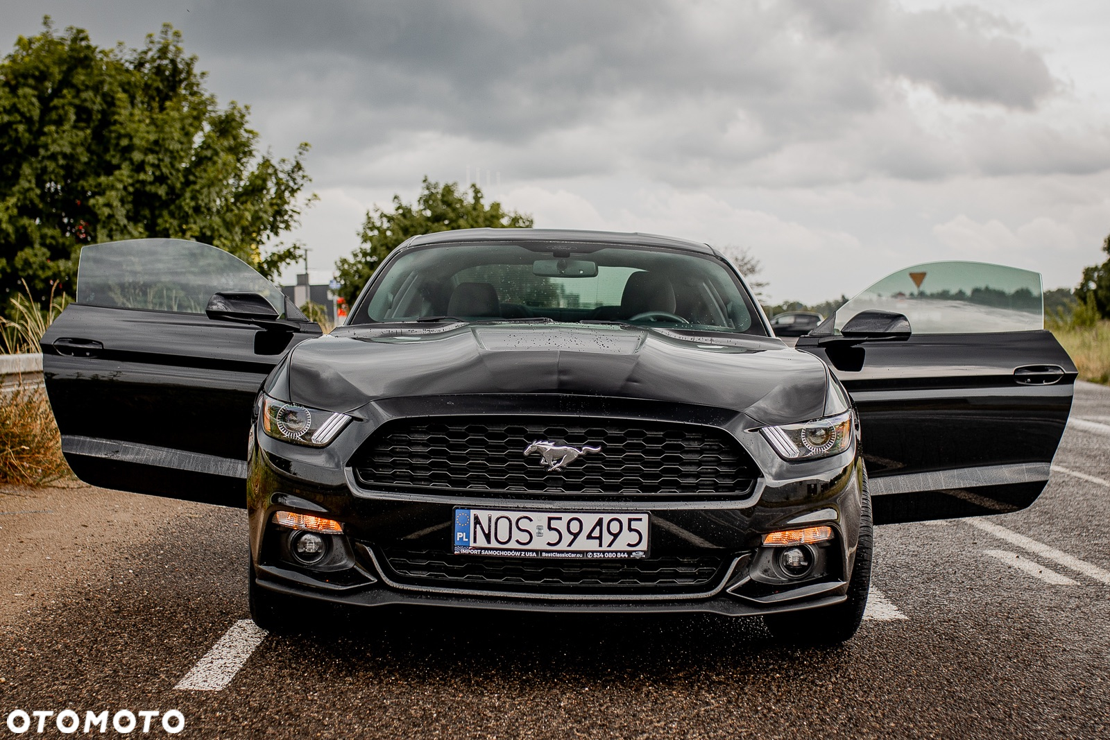 Ford Mustang 2.3 EcoBoost - 11