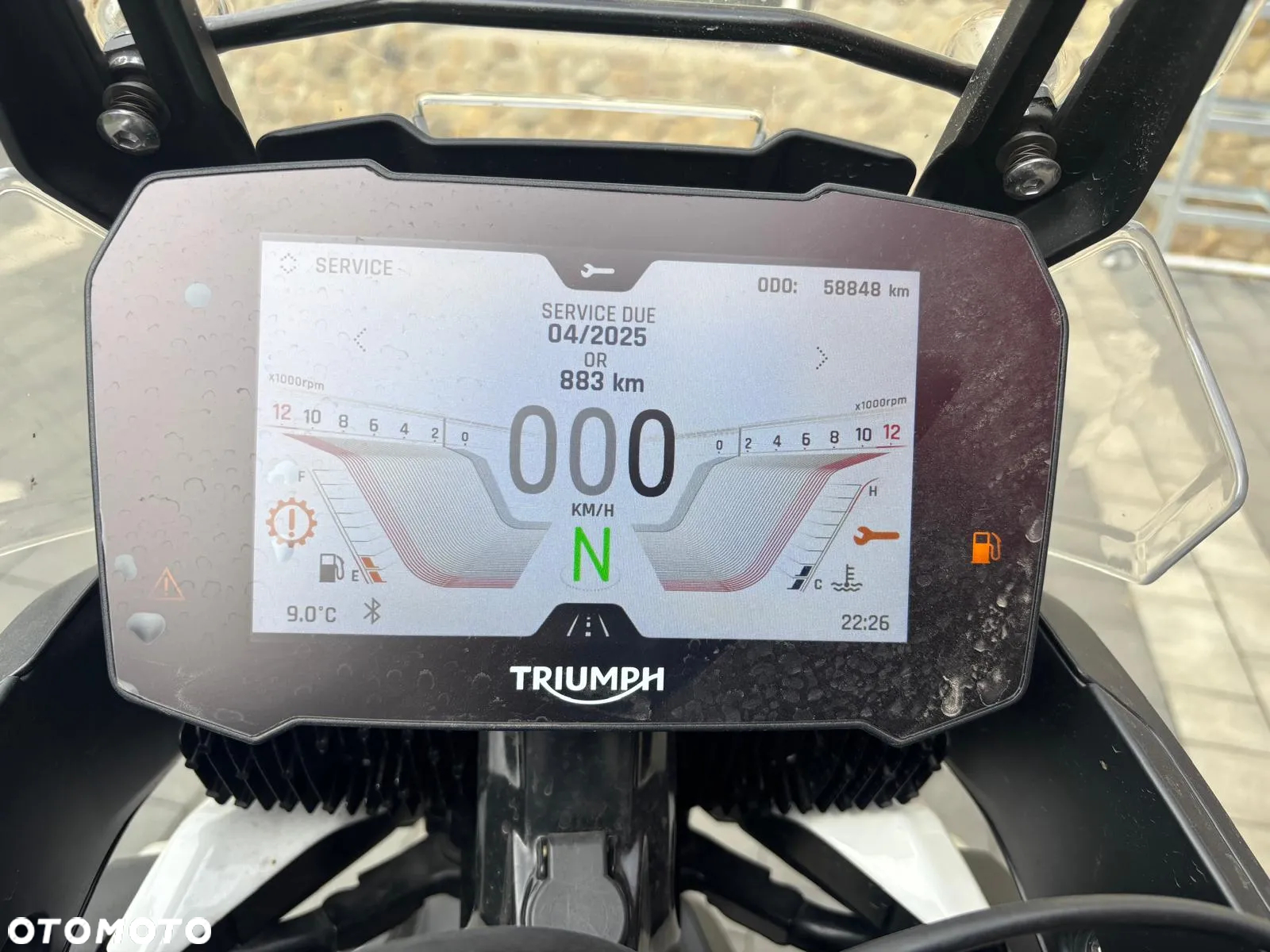 Triumph Tiger