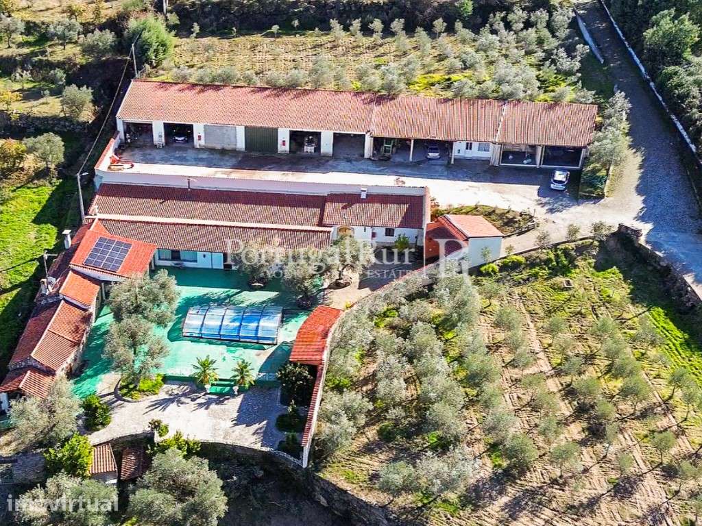 Quinta com 19 ha, restaurante e Moradia T5 em Belmonte - Grande imagem: 4/60