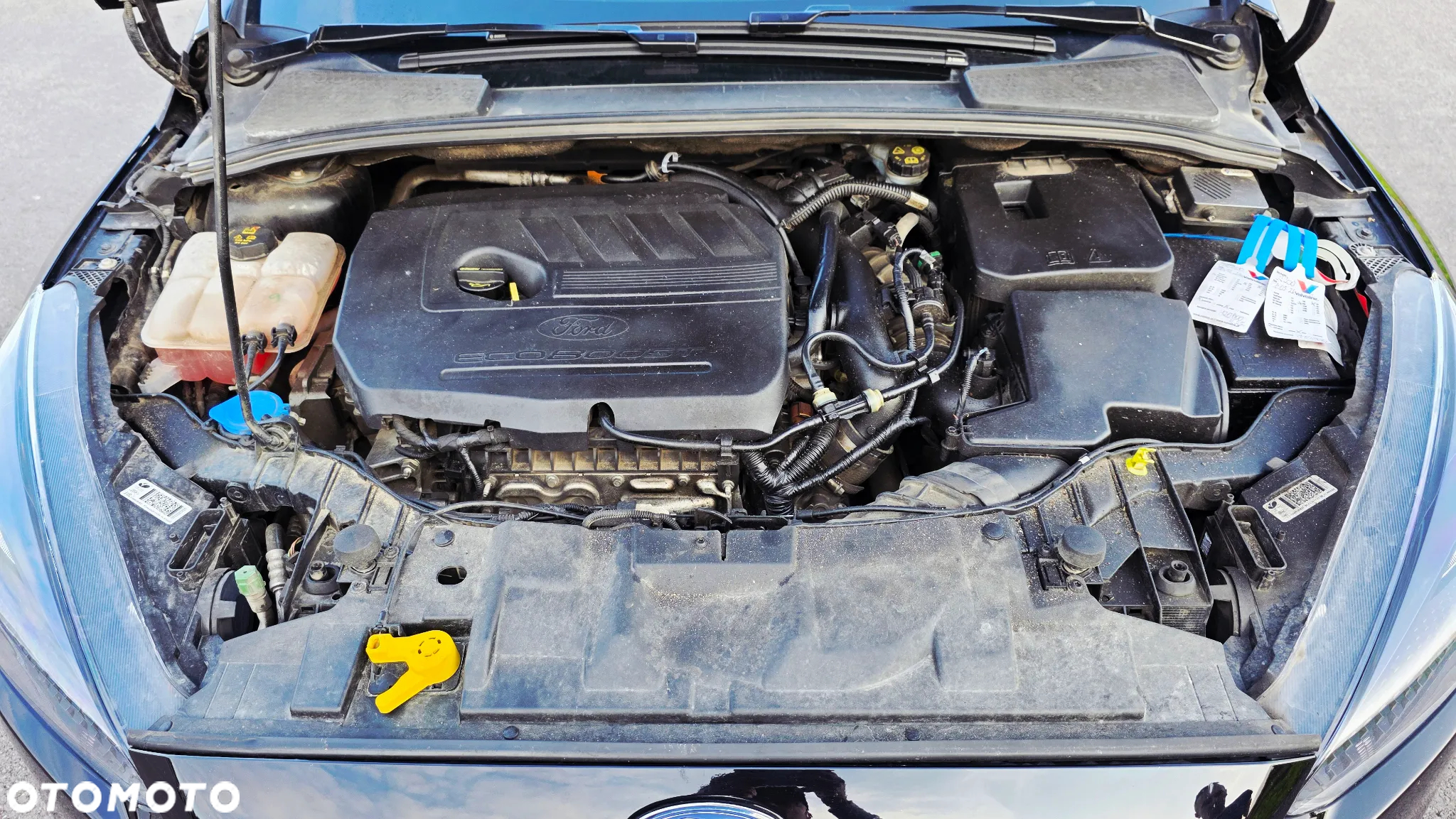 Ford Focus 1.5 EcoBoost SYNC Edition ASS - 14