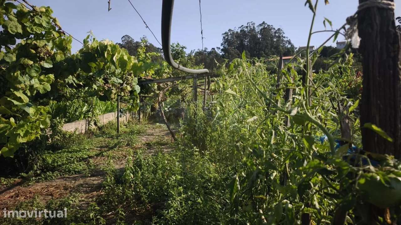 Terreno Rustico Em Cristelo - Grande imagem: 2/13