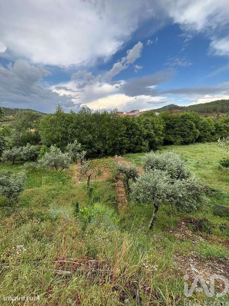 Terreno em Sarzedas - Grande imagem: 2/6