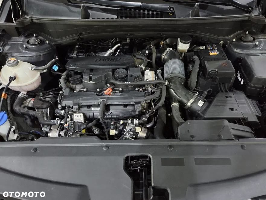 Kia Sportage - 19