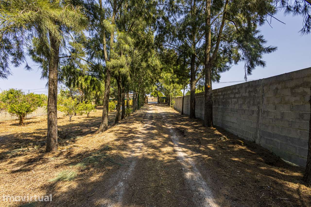 "QUINTA GOMES" CIDADE DO CARTAXO - Grande imagem: 2/39