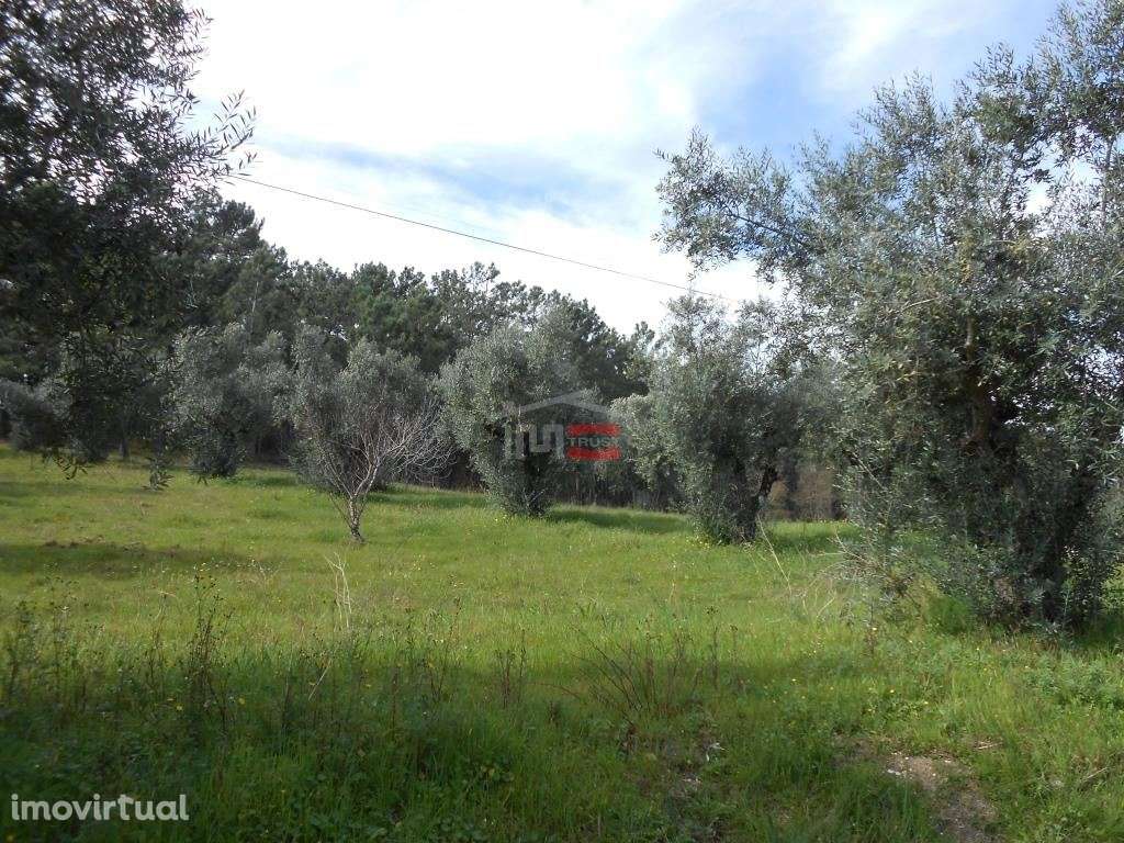 Terreno - Grande imagem: 3/9