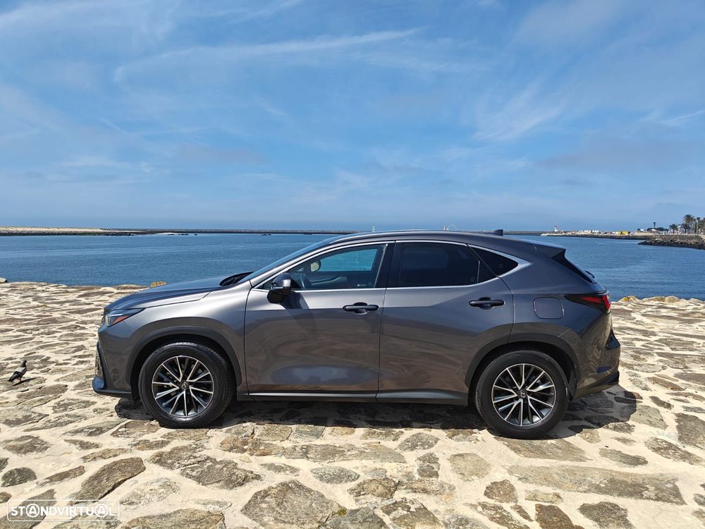 Lexus NX 350h Executive Plus - 4