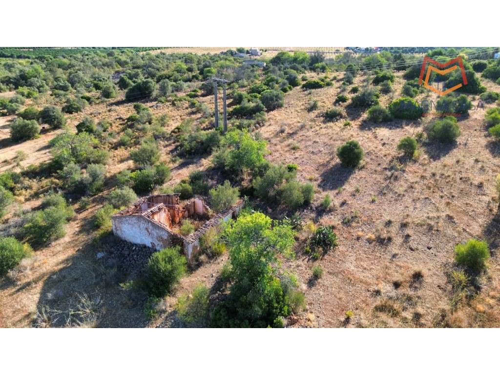 Terreno Misto , Silves, Algarve - Grande imagem: 4/6