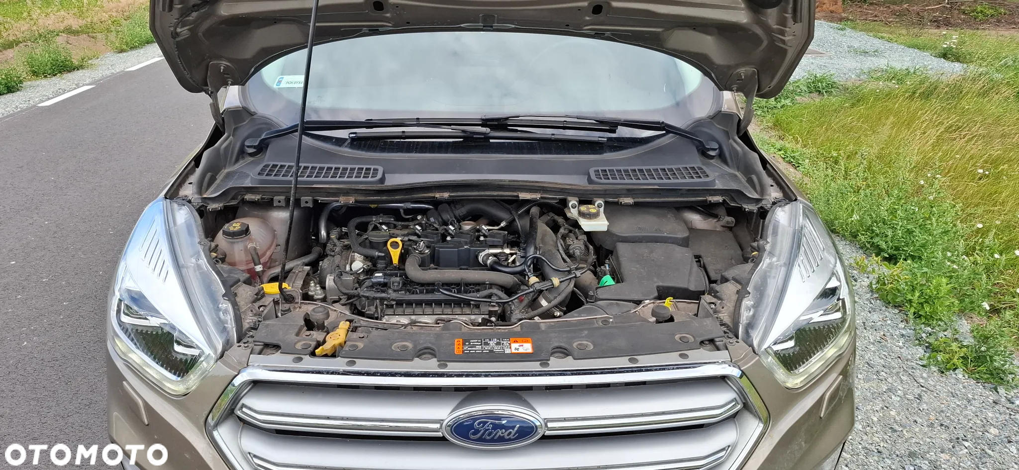 Ford Kuga - 18
