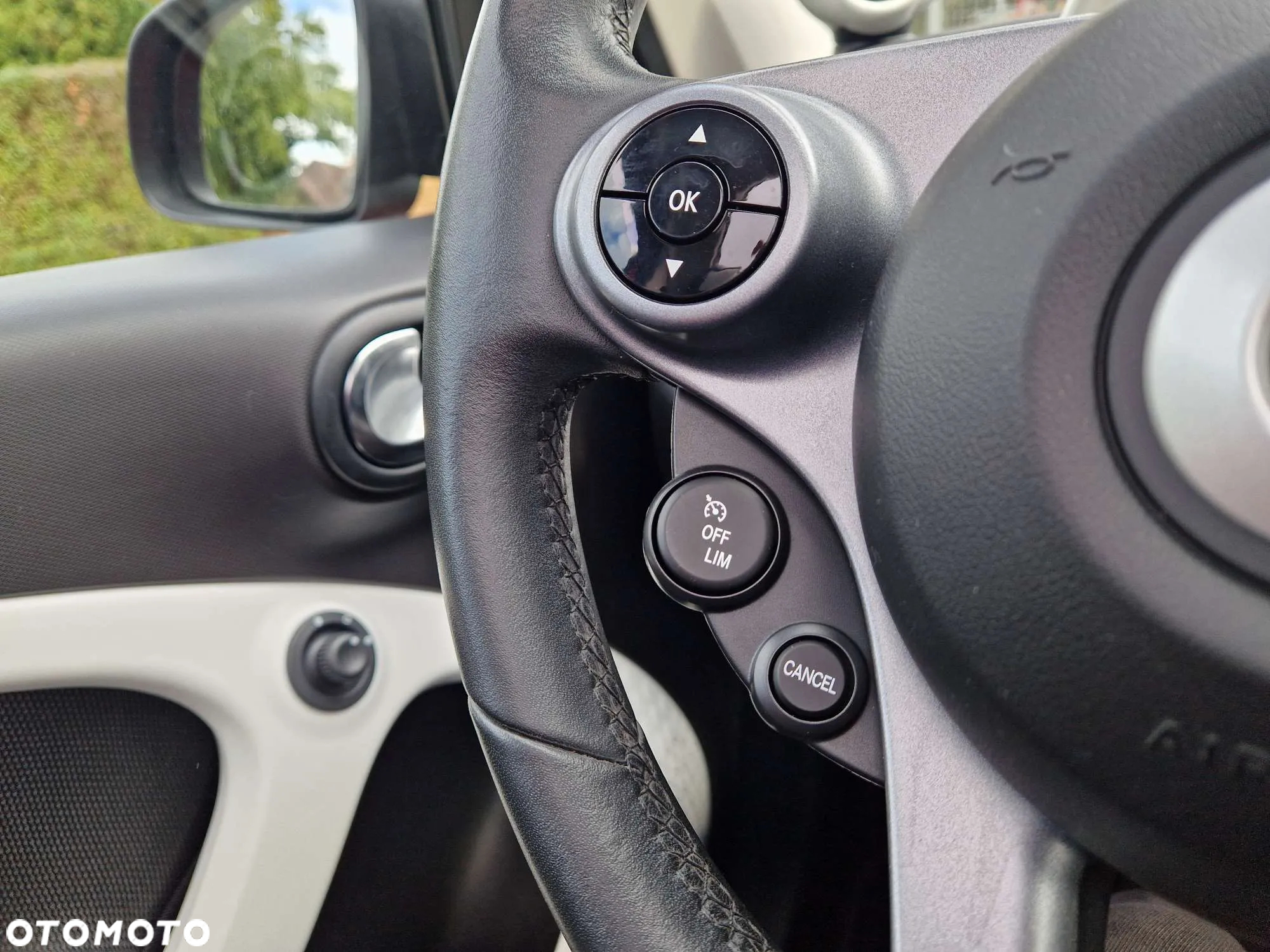 Smart Forfour passion - 36