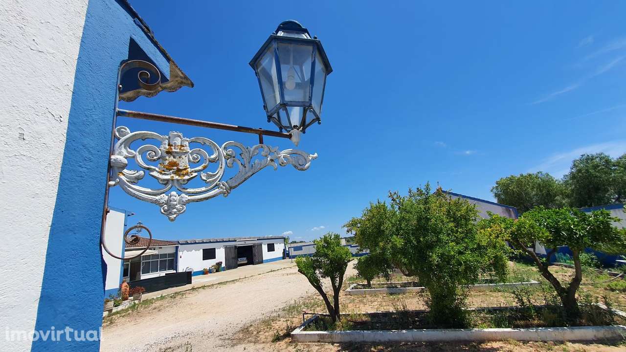 Quinta com potencial para Turismo Rural ou Habitação - Grande imagem: 3/60