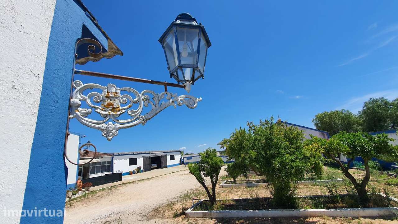 Quinta com potencial para Turismo Rural ou Habitação - Grande imagem: 3/60