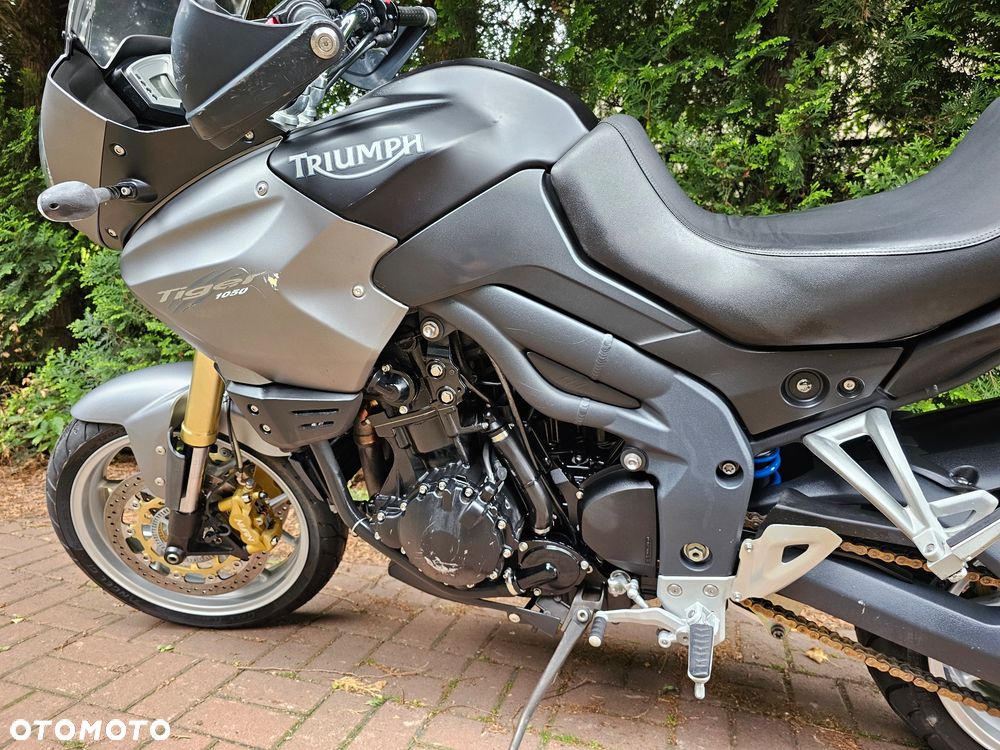 Triumph Tiger - 13