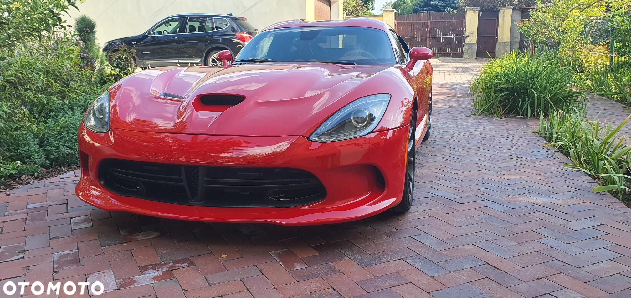 Dodge Viper - 26
