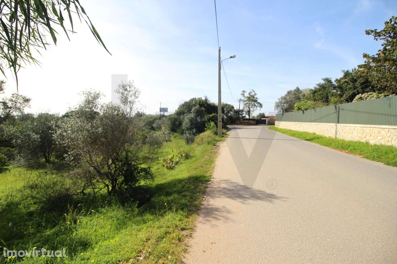 TERRENO RUSTICO, ESTOMBAR, LAGOA - Grande imagem: 3/21