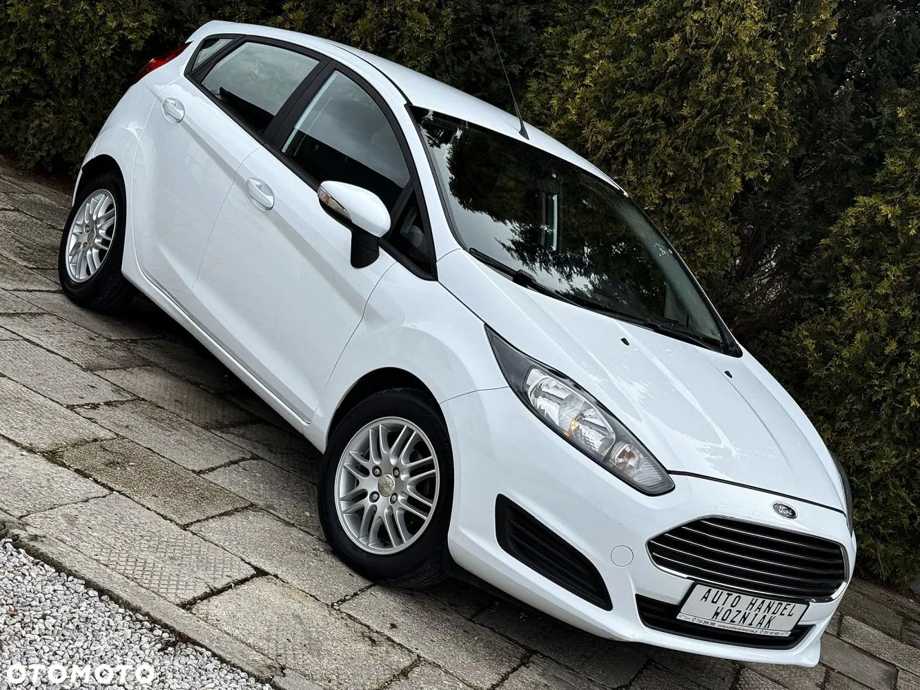 Ford Fiesta - 1