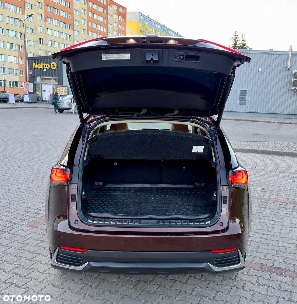 Lexus NX 300h Elite AWD - 4