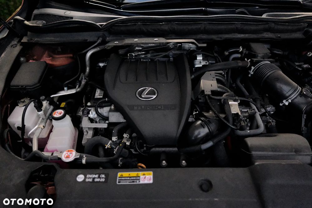 Lexus RX - 29