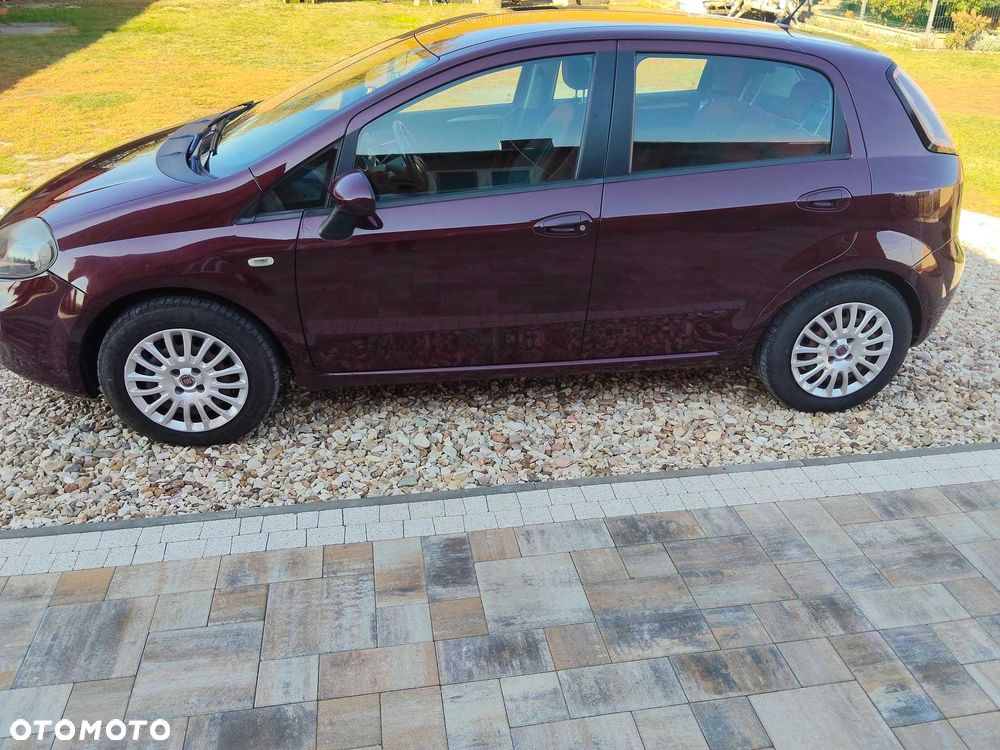 Fiat Punto 2012 - 5