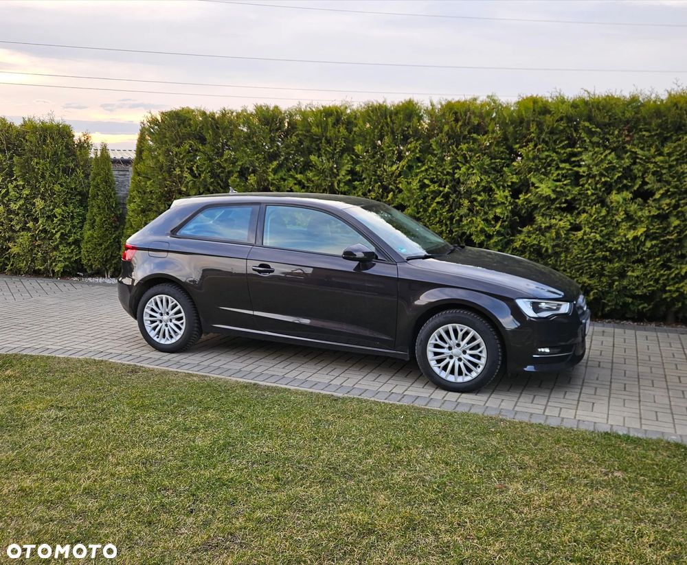 Audi A3 3-drzwiowe 1.6 TDI Attraction - 16