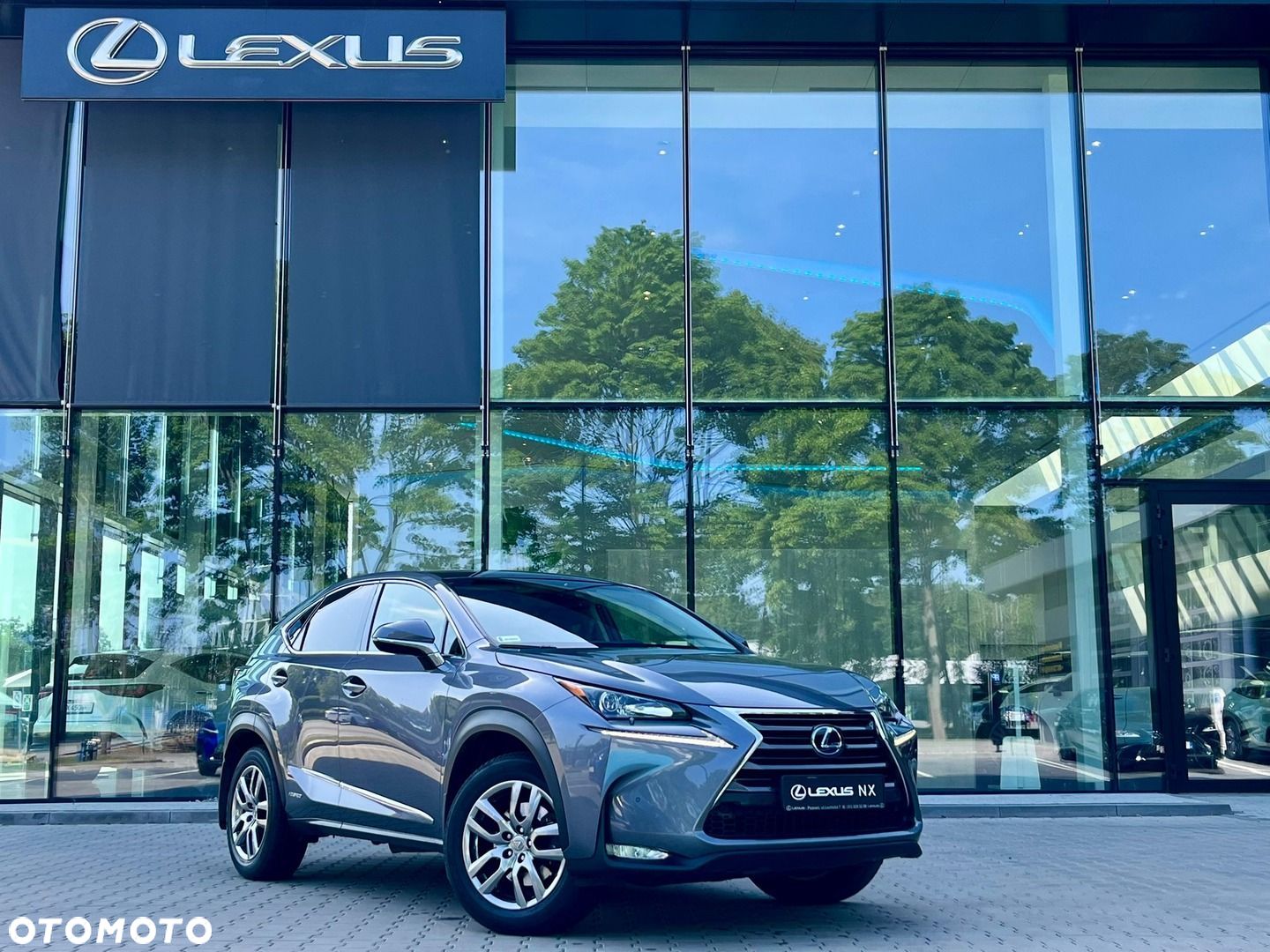 Lexus NX - 1