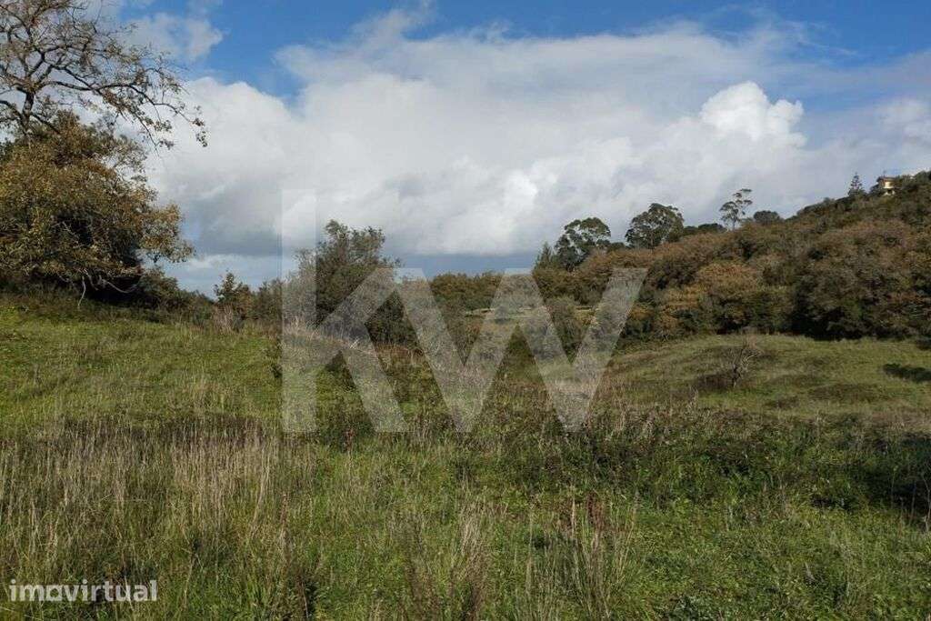 8.680 m2 TERRENO EM PORTO MÓS  . VENDE-SE - Grande imagem: 3/17