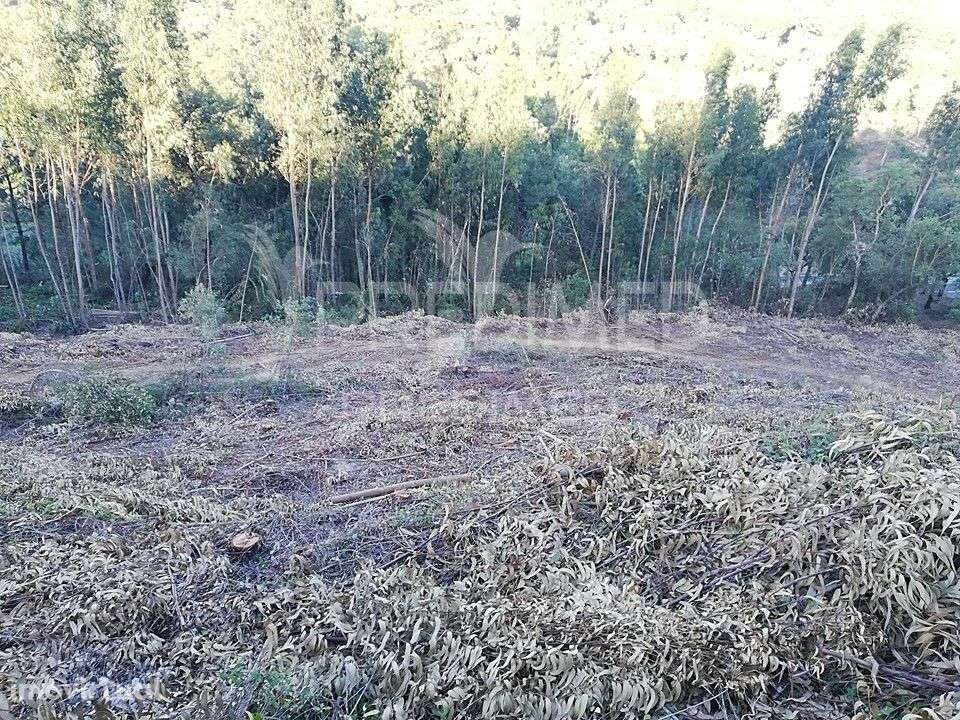 LOUSA. Lote terreno rústico com 8.760 m2 - Grande imagem: 3/6