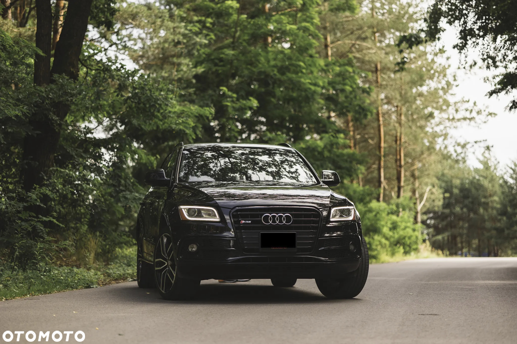 Audi SQ5 3.0 TFSI Quattro Tiptronic - 6
