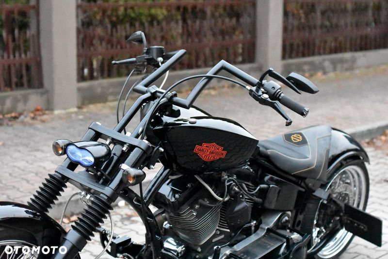 Harley-Davidson Inny - 28