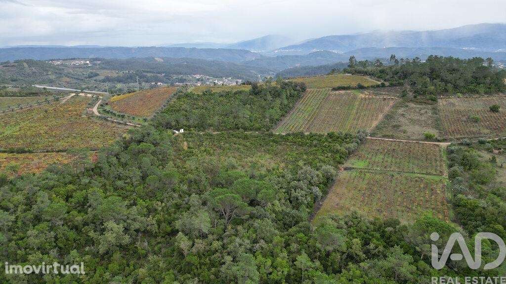 Terreno Agrícola em Condeixa-a-Velha e Condeixa-a-Nova - Grande imagem: 3/18