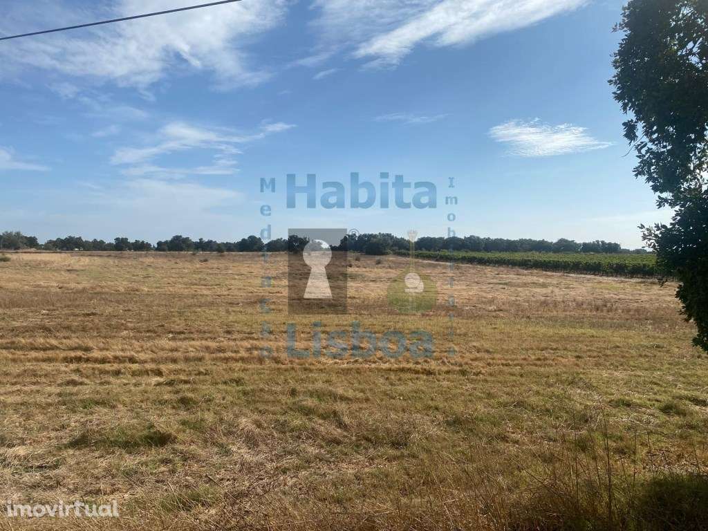 Terreno 11.000m² com viabilidade de moradia - Palmela - Grande imagem: 2/12