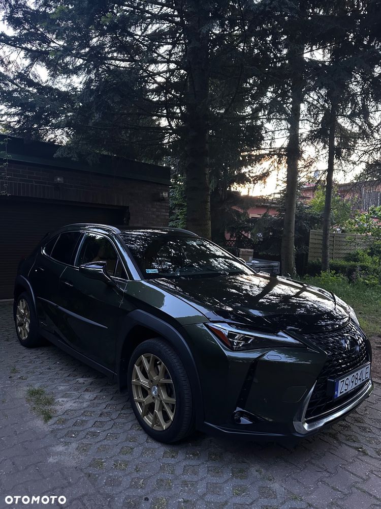 Lexus UX 200 Prestige 2WD - 6