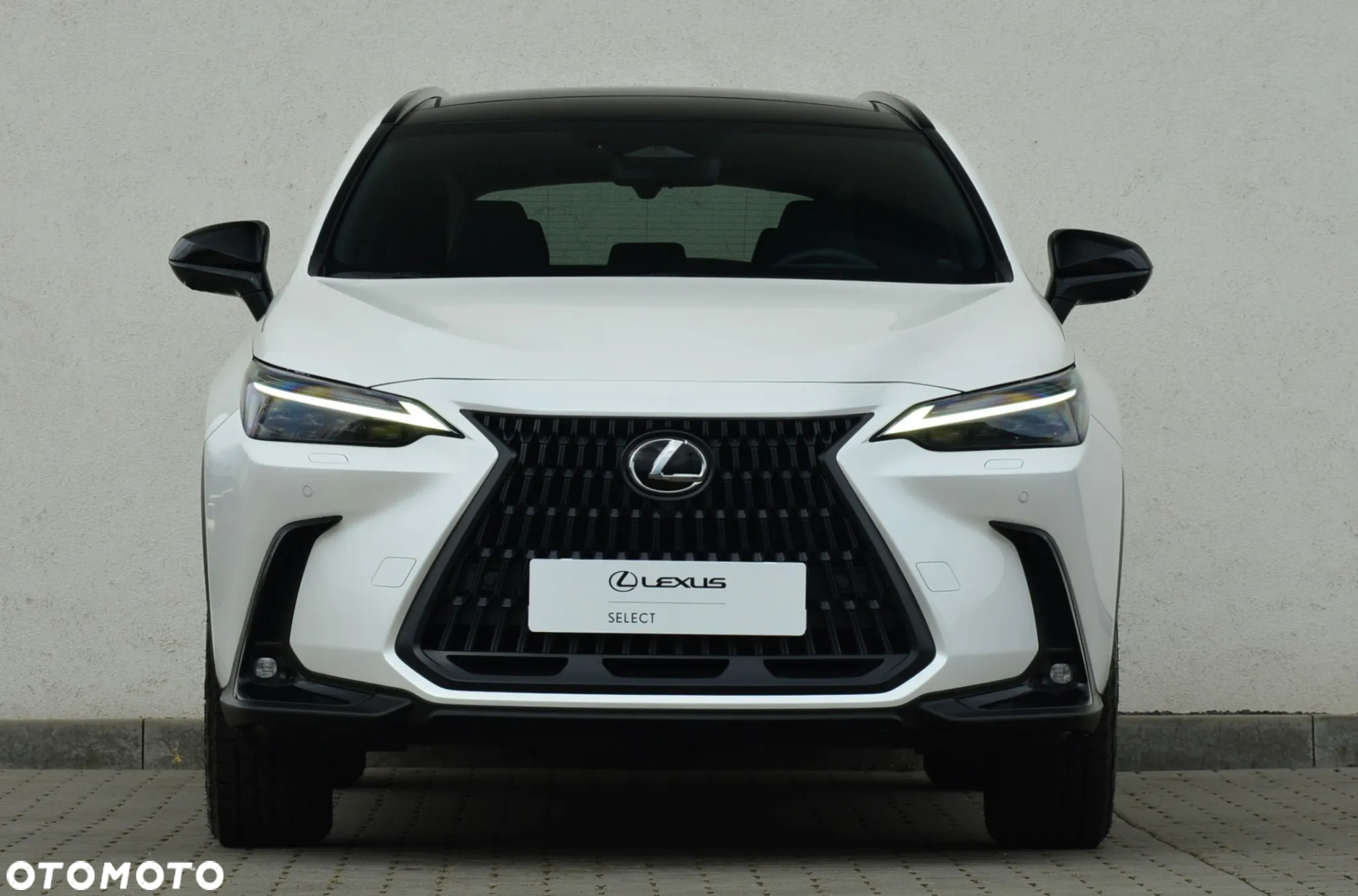 Lexus NX 350h Overtrail AWD - 2