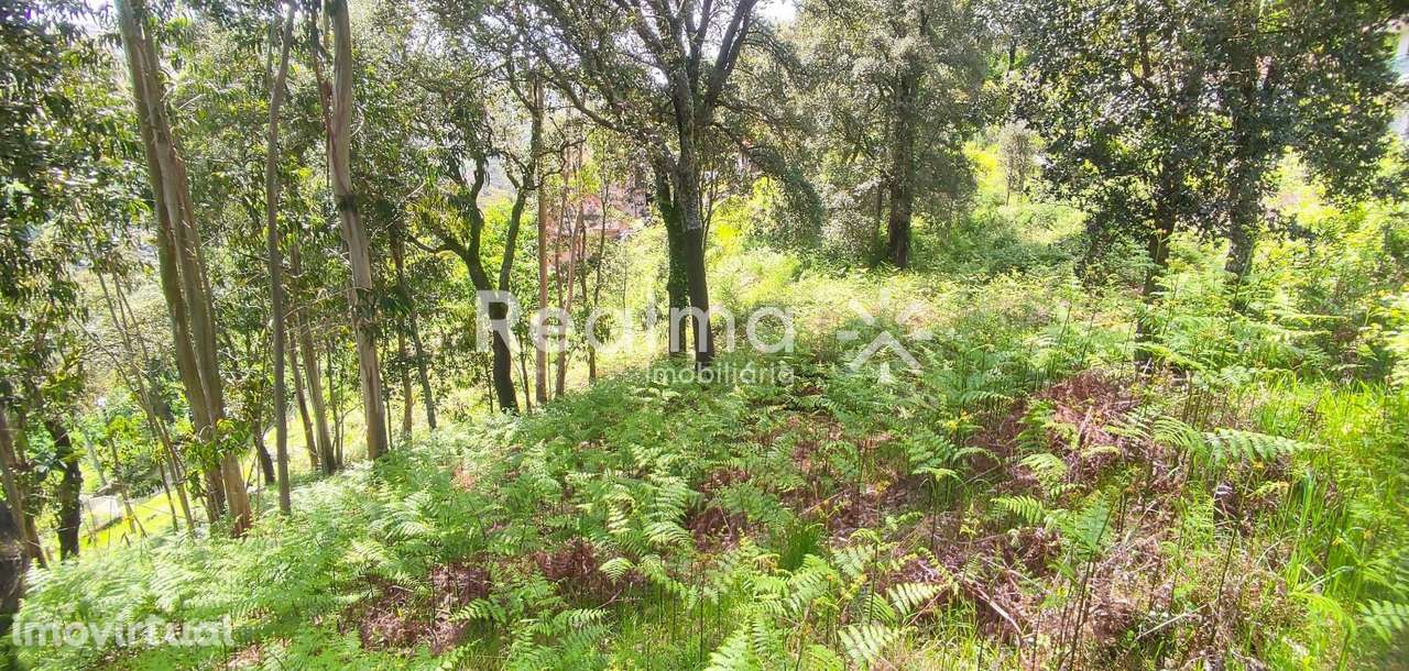 Terreno em Ruivães - Vieira do Minho p/ Construção - Grande imagem: 4/20