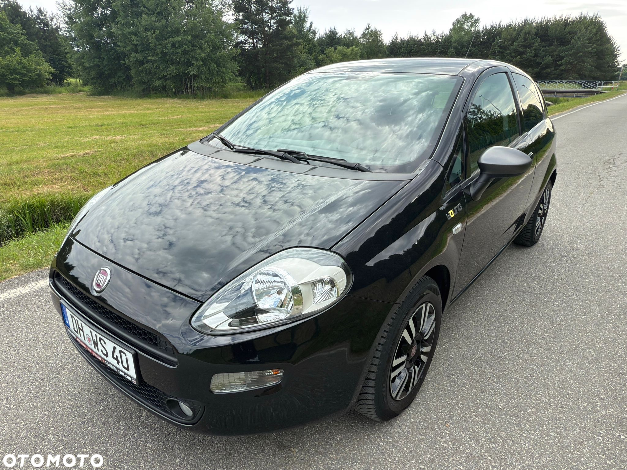 Fiat Punto Evo 1.2 8V More Start&Stopp - 7
