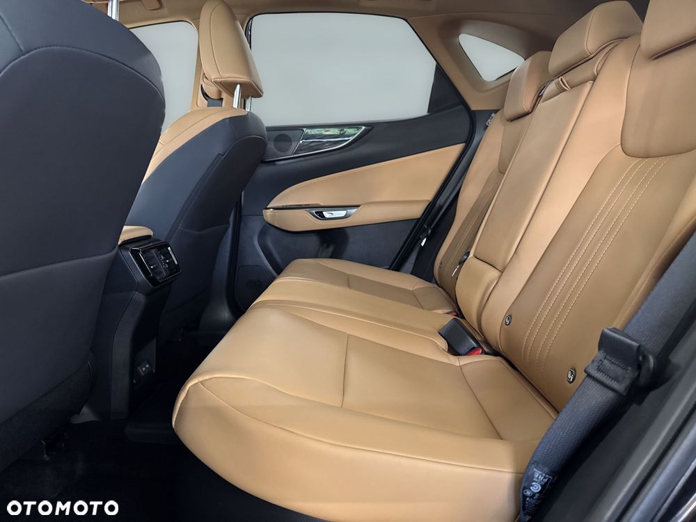 Lexus NX - 10