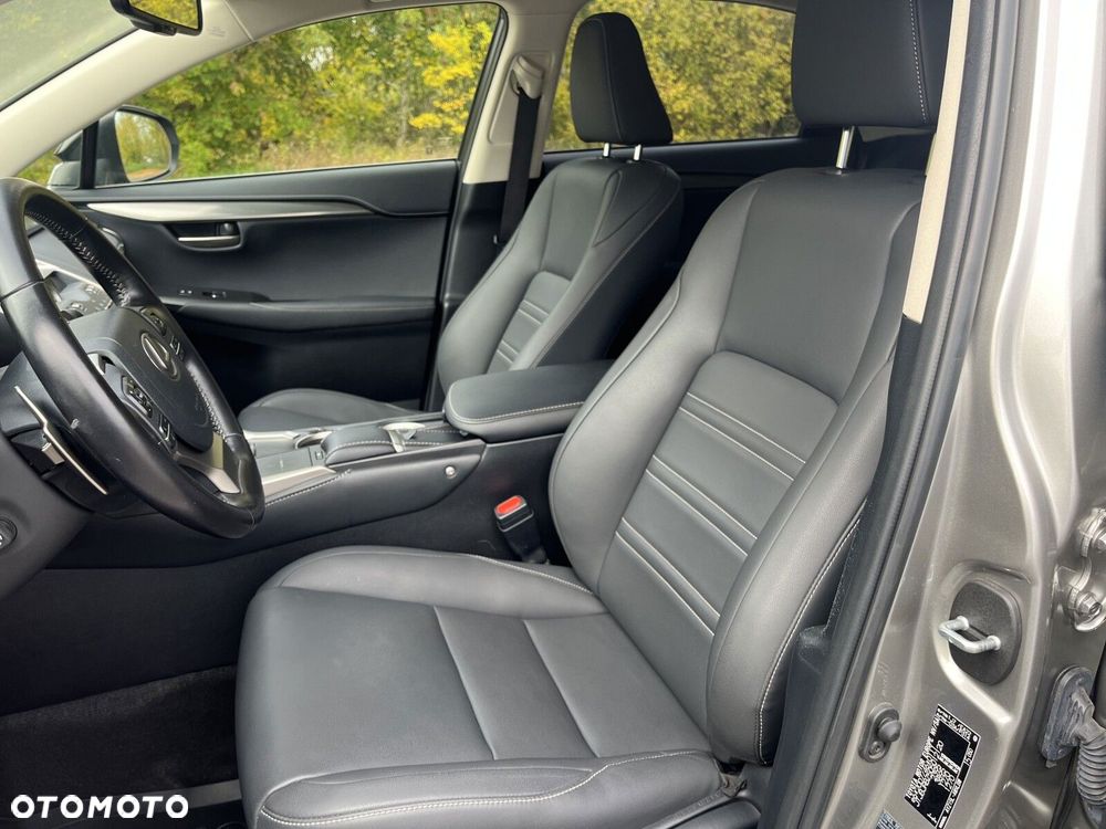 Lexus NX - 15